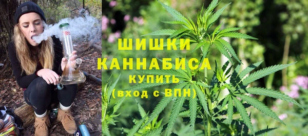 2c-b Карпинск