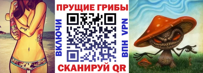 Псилоцибиновые грибы ЛСД  Купить  Лаишево 